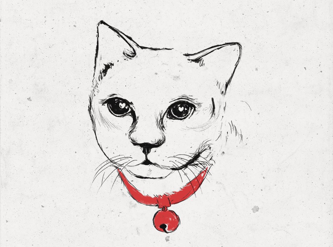 Ink drawing of a wide-eyed white cat with a red collar and bell, from the mini comic The Stray Cat and Her Bell