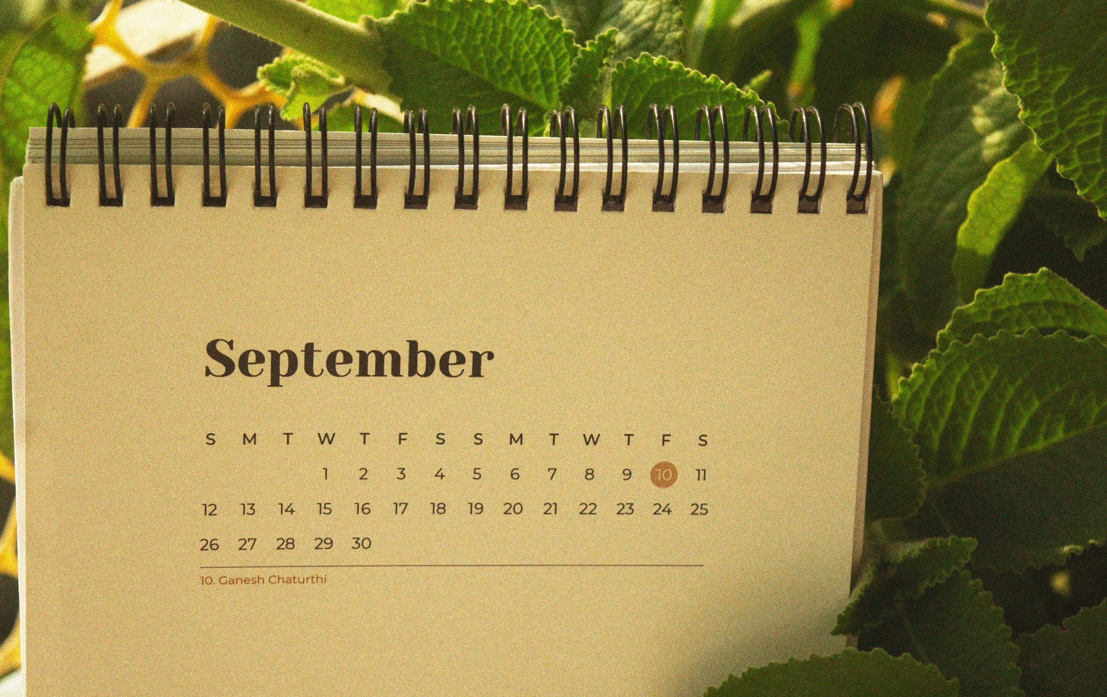 September page of the Year of the Planet desk calendar among green leaves
